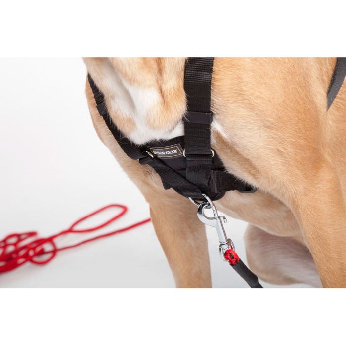 Dingo Gear Harnais WEDA pour le pistage