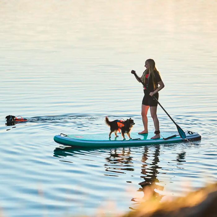 Non-stop dogwear Protector Life Jacket