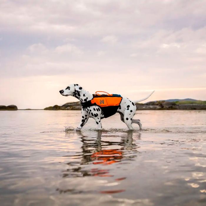 Non-stop dogwear Protector Life Jacket