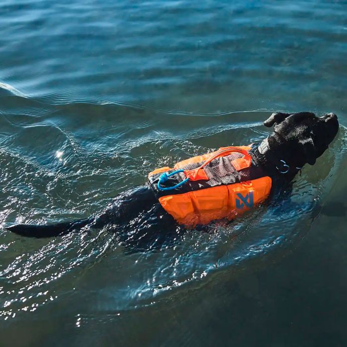 Non-stop dogwear Protector Life Jacket