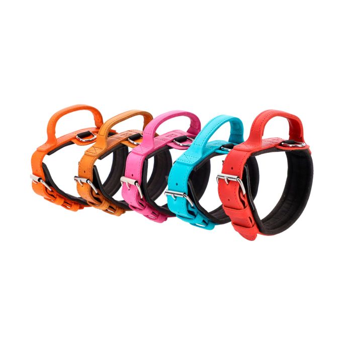 Dingo Gear Collier Drago rose avec poignée 50 mm
