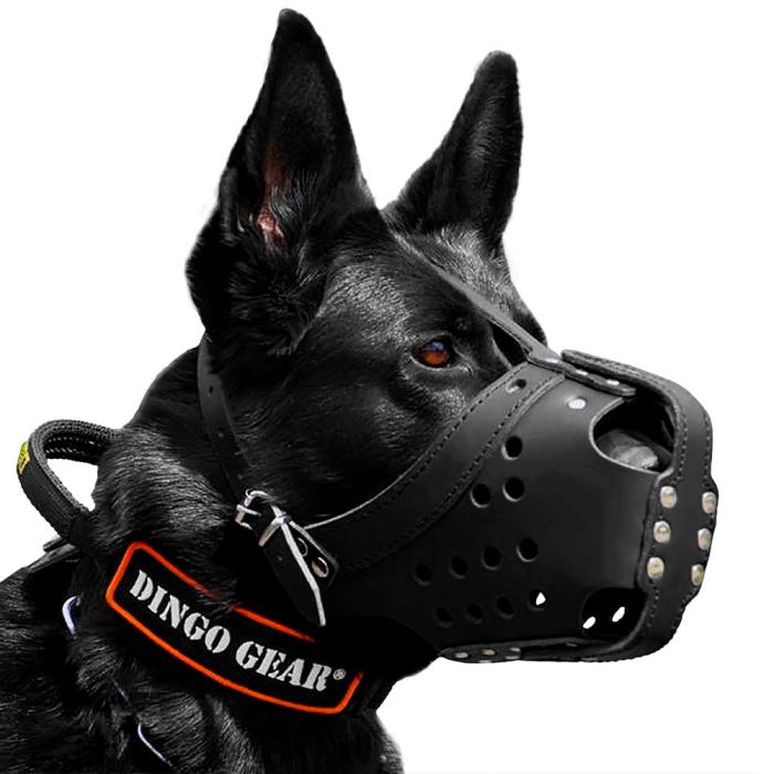 Dingo Gear Muselière d'impact en cuir renforcé