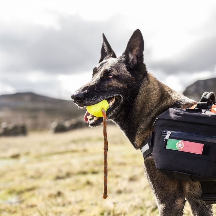 Julius-K9 Balle IDC Lumino jaune