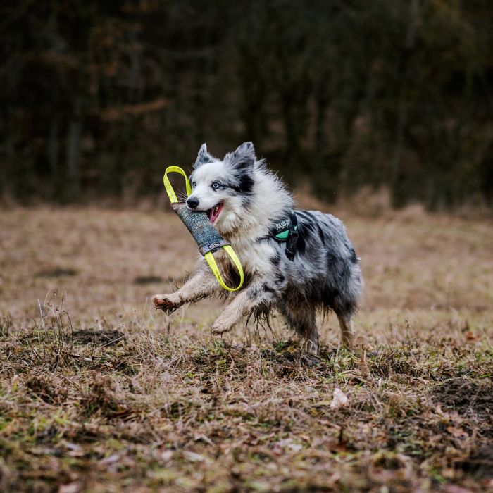 Julius-K9 Boudin en tissu français avec deux poignées et couture interne