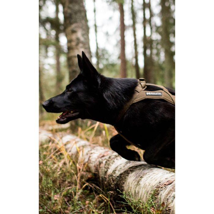 Non-stop dogwear Freemotion WD