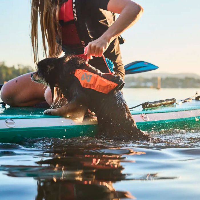 Non-stop dogwear Protector Life Jacket
