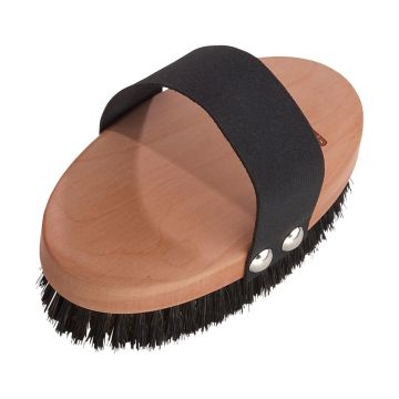 HS Sprenger Brosse ovale en polypropylène et laiton