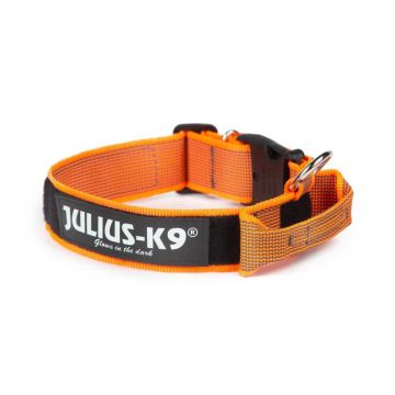 Julius-K9 Collier orange avec poignée
